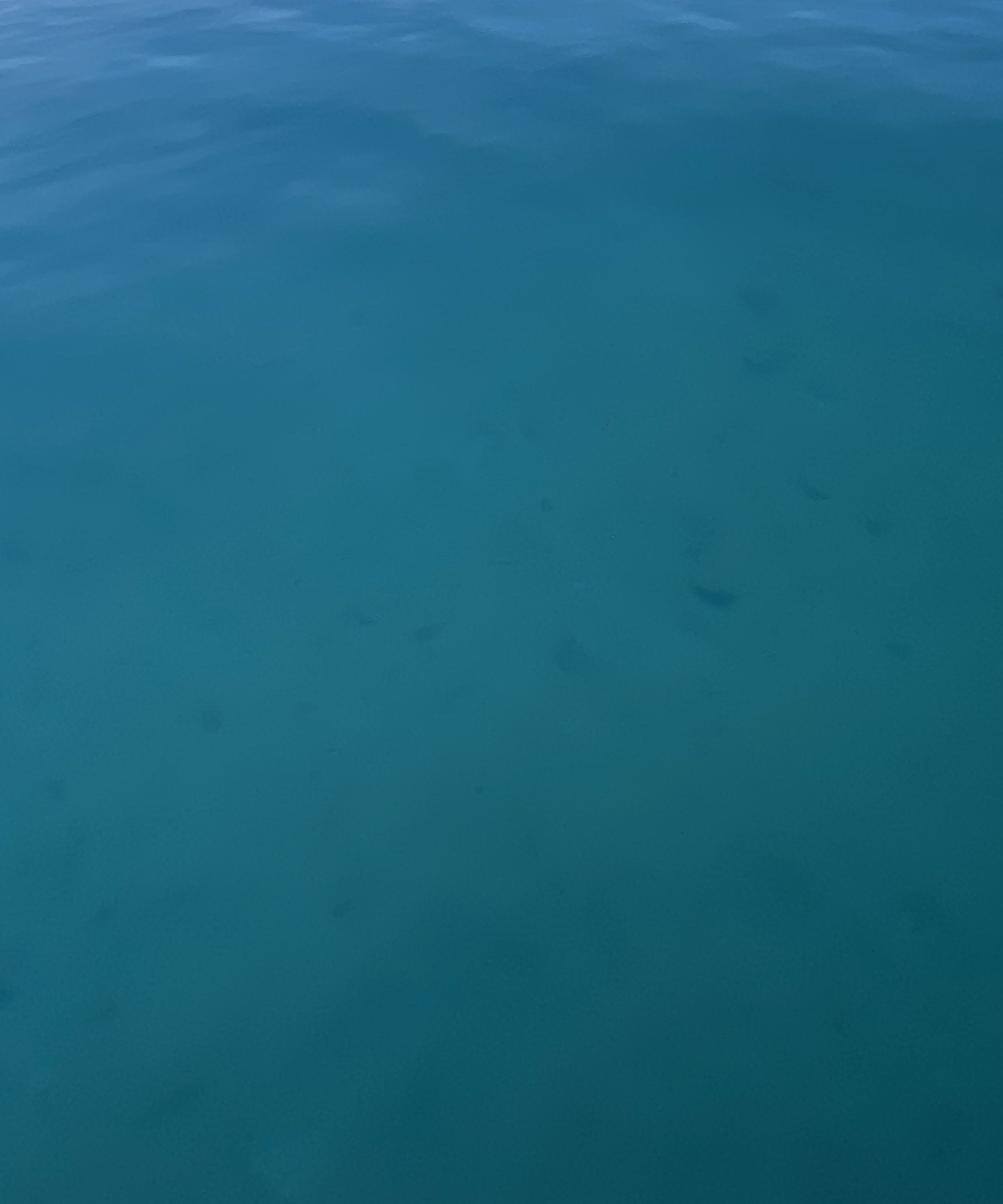 bleu lac annecy haute savoie